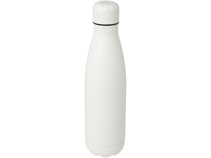 Cove vacuüm geïsoleerde roestvrijstalen fles van 500 ml