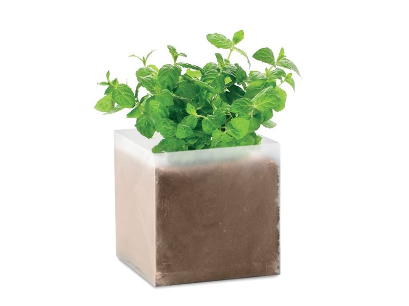 Compost met mint zaadjes